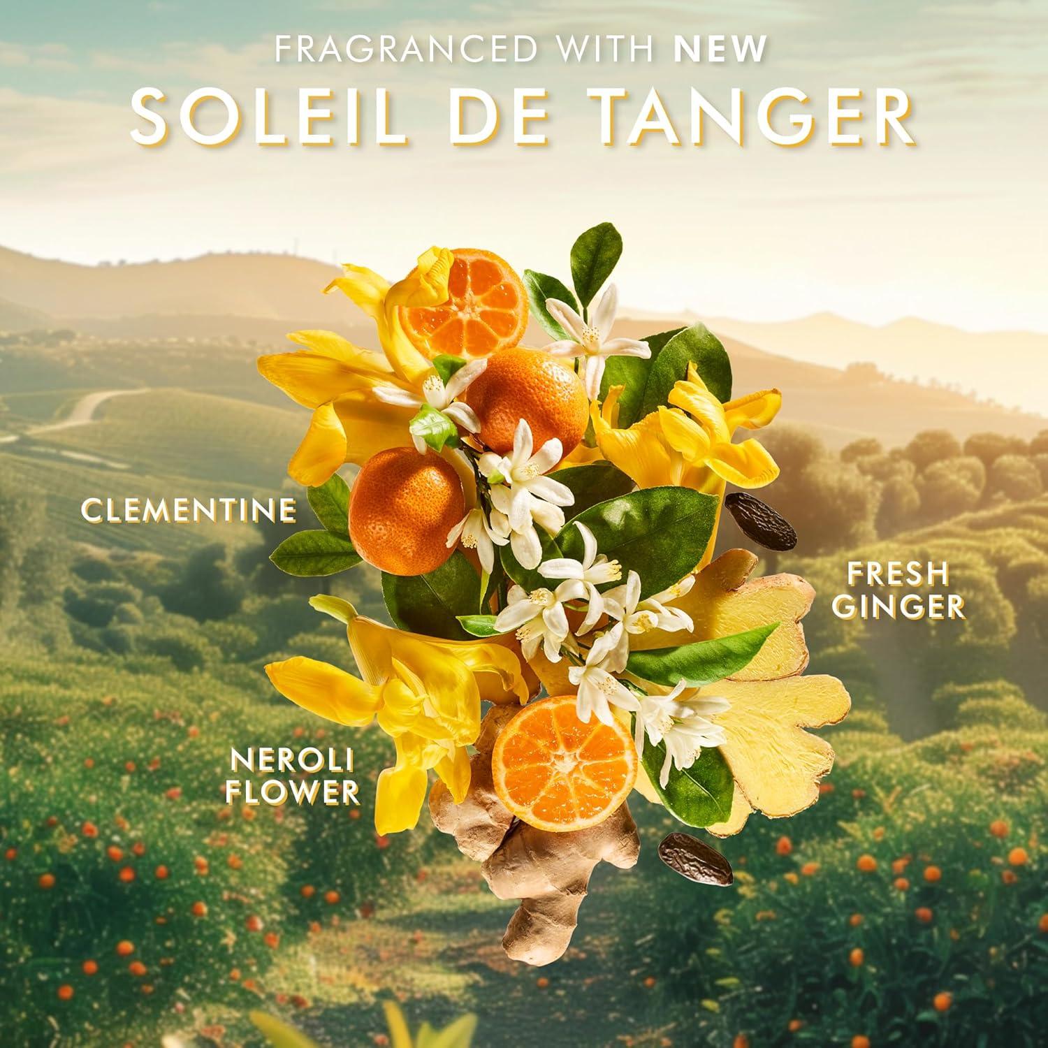 Moroccanoil Body Lotion(Soleil De Tanger)