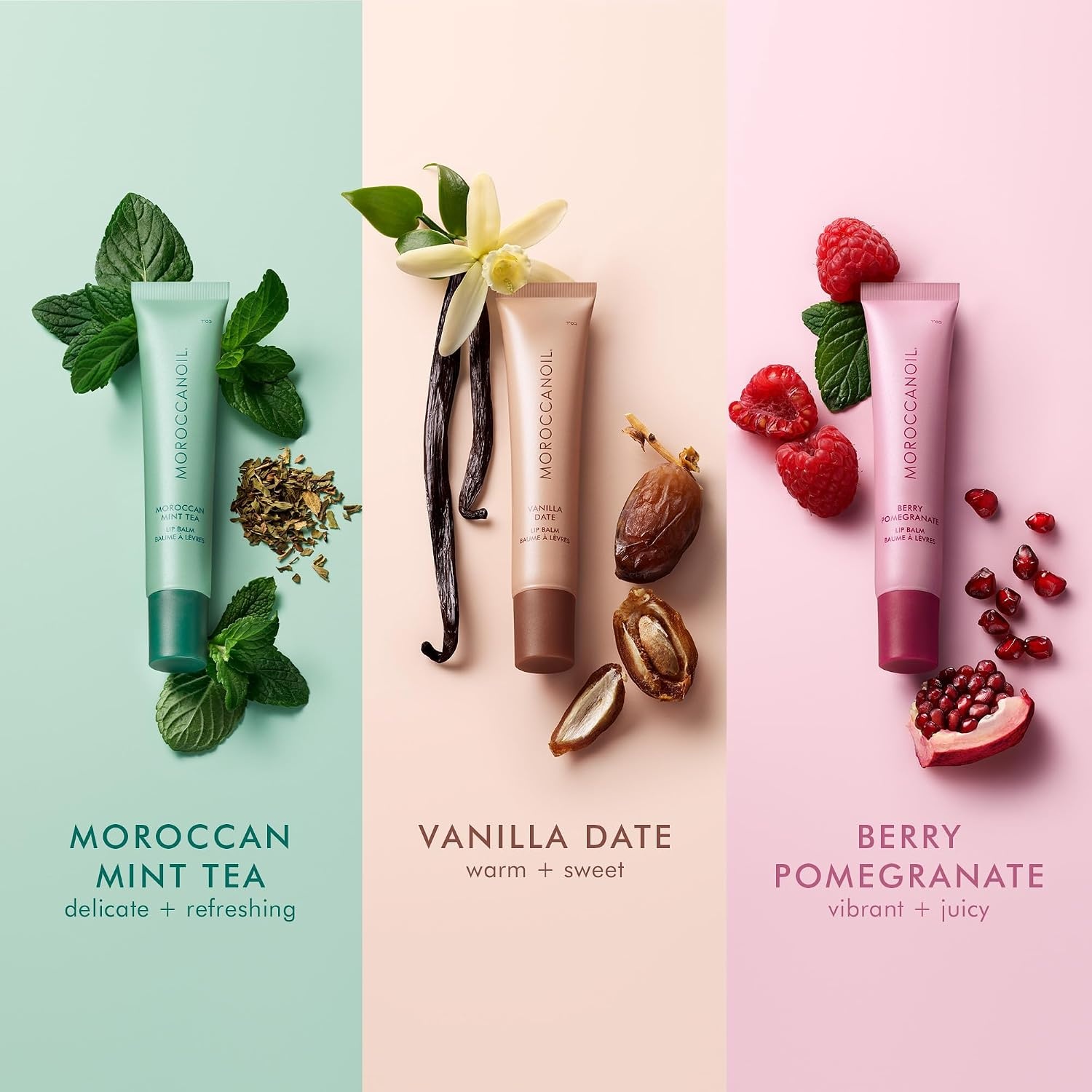 Moroccanoil Argan Butter Lip Balm(Value Kit)