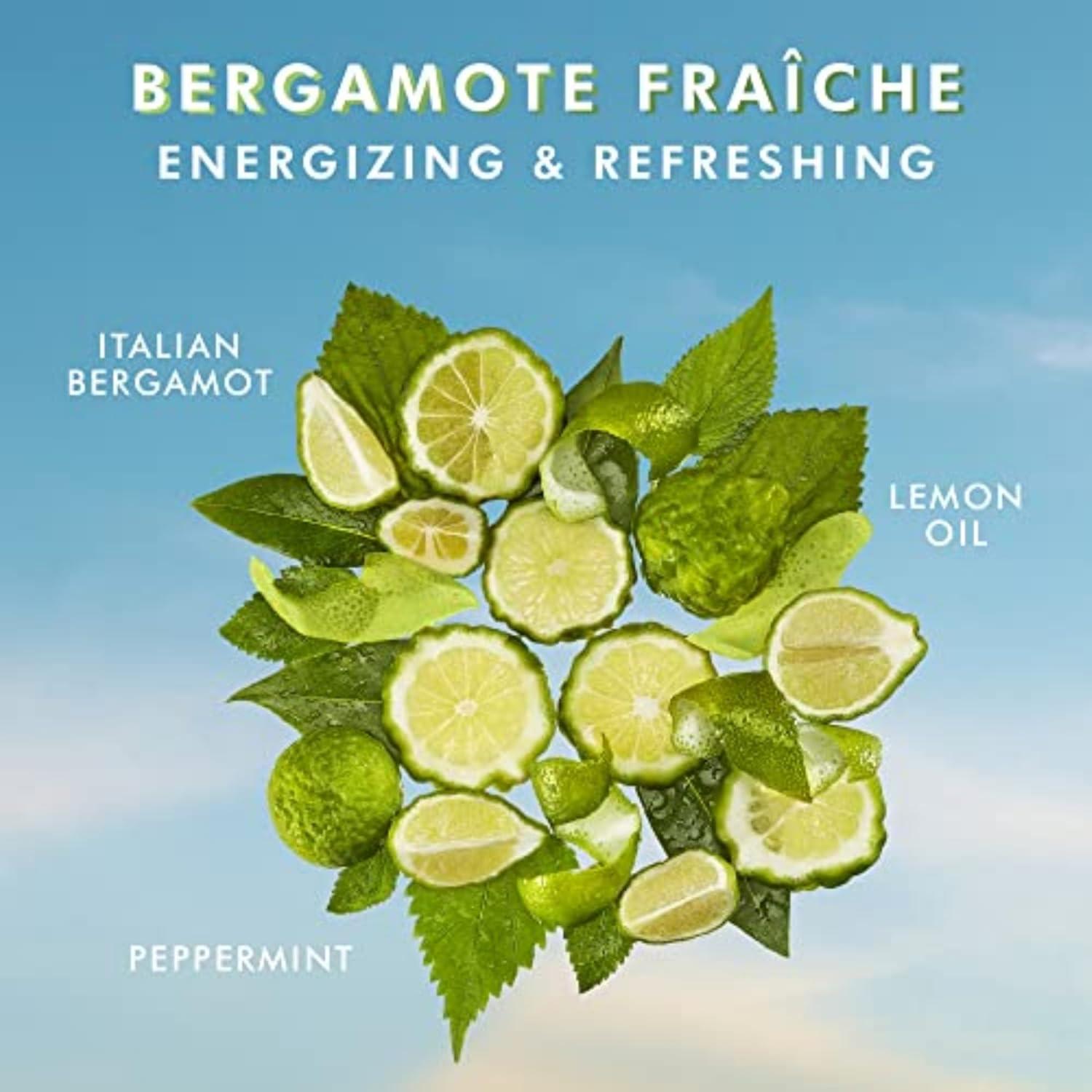Moroccanoil Body Lotion(Bergamote Fraiche)